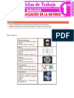 Niveles de Organizacion de La Materia Para Primer Grado de Secundaria (1)