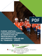 Curso Virtual - Lineamientos para La Elaboracion de Programas de Seguridad y Salud en El Trabajo - PSST