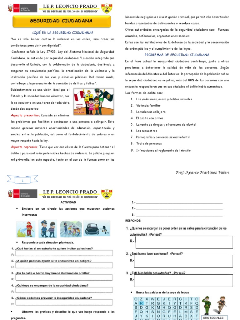 Seguridad Ciudadana | PDF | Violencia | Valores
