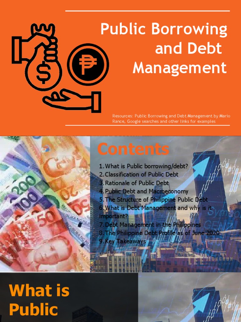 Public Borrowing and Debt Management PDF Debt Loans