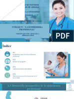 Unidad Iv La Enfermeria Profesional