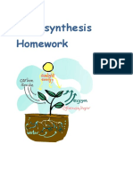 S1 Photosynthesis Homework