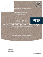 Practica Reaccion Antigeno-Anticuerpo