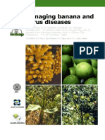 Managing Banana and Citrus Diseases: A. B. Molina, V. N. Roa, J. Bay-Petersen, A. T. Carpio, and J. E. A. Joven, Editors