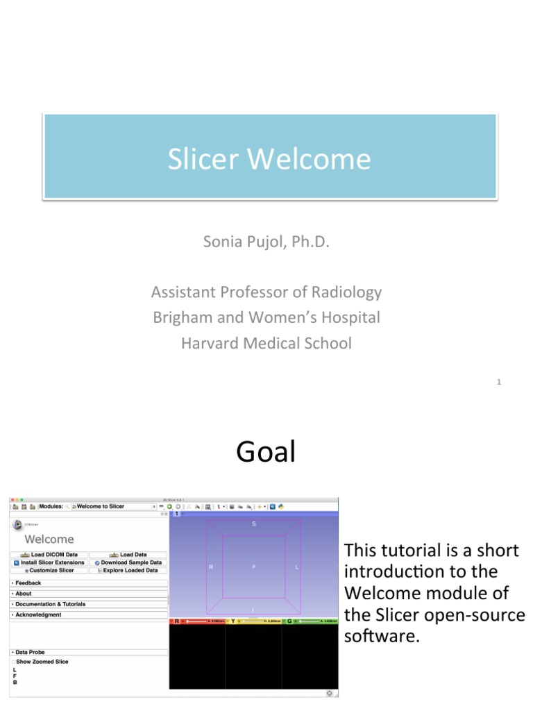 Introduction to 3D Slicer Software | PDF | Ct Scan | Computing