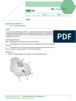 B1, Topic 1.4 Student Activity: Types of Specialised Cells