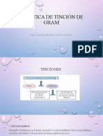 Practica de Tinción de Gram