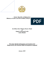 An Urban Area Primary Source Study of Supply & Demand in The Labor Market Aug, 2008 (English)