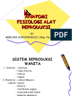 Eyinanatomi Fisiologi Alat Reproduksi