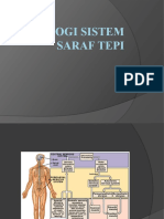 Fisiologi Sistem Saraf Tepi