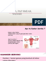 P13 Iva, Pap Smear, Sadari