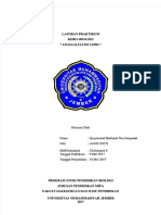 PDF Laporan Praktikum Uji Kualitatif Lipid Compress