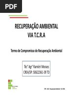 Recuperação Ambiental - Tcra Exemplos