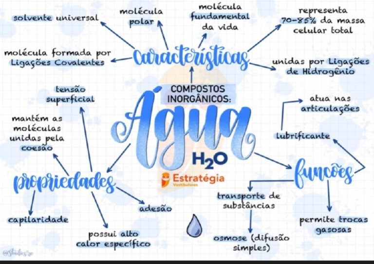 Mapas Mentais sobre NOTAÇÃO CIENTIFICA - Study Maps