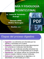 Anatomia y Fisiol Digestiva 2020