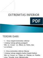 Osteologi EXTR. INF