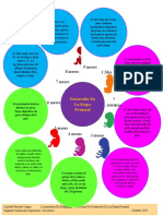 INFOGRAFIA Del-Desarrollo