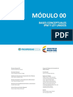 Modulo 00 Bases Conceptuales IPM y Ley Unidos