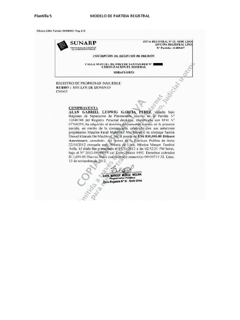 Plantilla 5 MODELO DE PARTIDA REGISTRAL | PDF