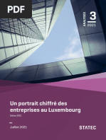 UN PORTRAIT CHIFFRÉ DES ENTREPRISES AU LUXEMBOURG 2021