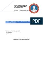 Analisis de Los Articulos de La Cosntitucion Politica de Guatemala