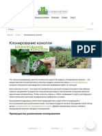 Клонирование марихуаны - зачем это нужно и как это сделать правильно - Семенарния