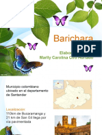 Barichara EXPOSICION 2019