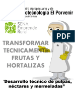 Desarrollo Técnico de Pulpas, Néctares y Mermeladas