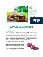 El Poder de Las Plantas