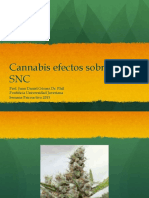 Efectos Cannabis SNC