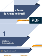 O Porte e a Posse de Armas no Brasil