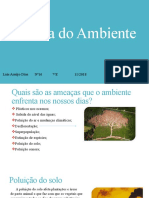 Defesa Do Ambiente