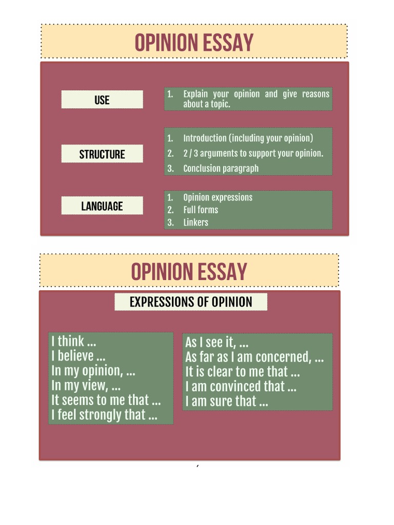 an opinion essay pdf