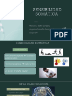 Sensibilidad Somatica