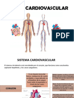 Aparato Cardiovascular