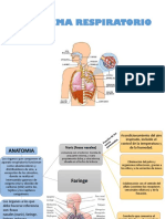 Aparato Respiratorio