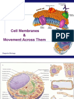 Cell Membranes & Movement Across Them: Regents Biology