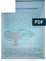 Diagrama de Fases en Aceros Inoxidables