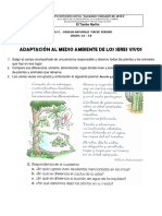 Guia 1 Ciencias Naturales Adaptacion de Las Plantas Al Medio Ambiente Tercer Periodo