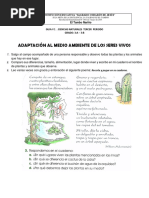 Guia 1 Ciencias Naturales Adaptacion de Las Plantas Al Medio Ambiente Tercer Periodo