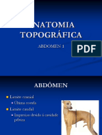 Anatomia Topográficaabdomen1