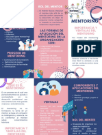 AA12 Organizador Sobre Mentoring