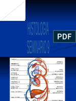 Seminario 8 (Aparato cardiovascular) 2007modif 2017javier (2)