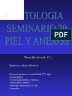 Seminario 12 (Piel y Aexos) 2007 Modif 2019 Javier