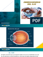 Embriogenesis Del Ojo