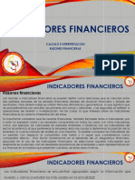Presentacion Indicadores Financieros (1)