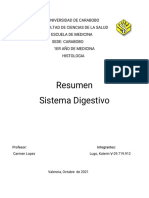 Sistema Digestivo12
