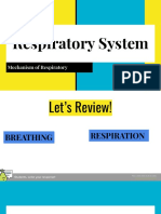 Respiratory System Part 2