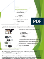 Componente Practico in Situ Fisiologia Del Aparato Grastrointestinal de Los Rumiantes