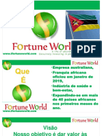 FW Mozambique Presentation PDF